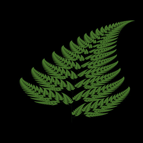 Barnsley Fern